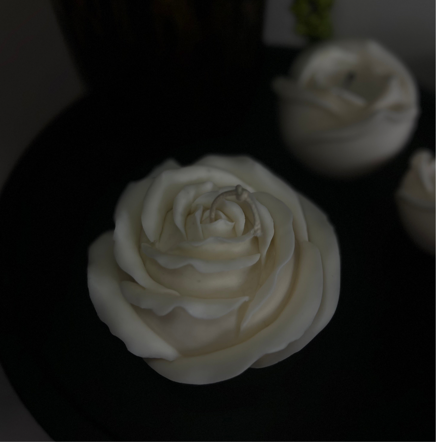 Rose Flower XL
