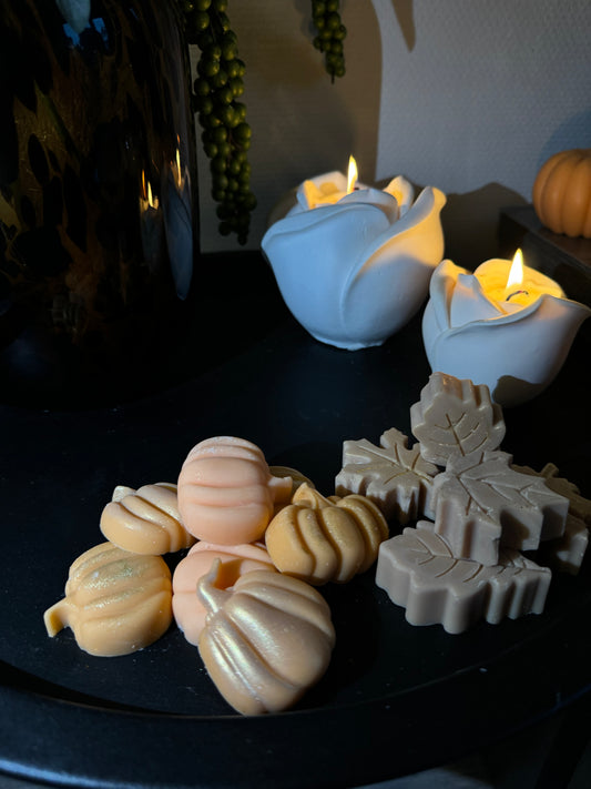 Waxmelts large