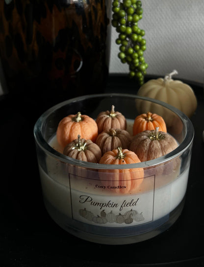 Pumpkin field scented candle
