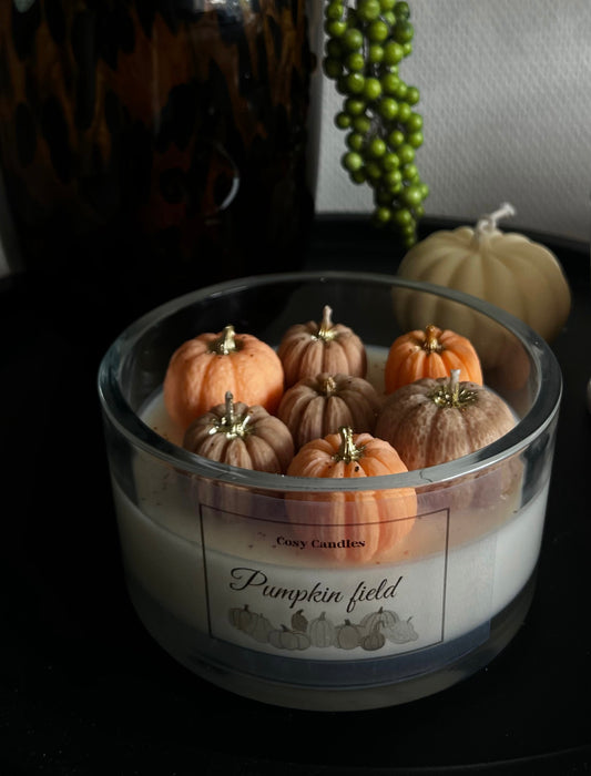 Pumpkin field scented candle