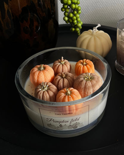 Pumpkin field scented candle