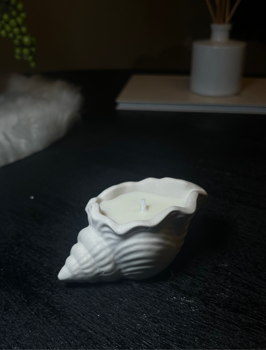 Shell candle