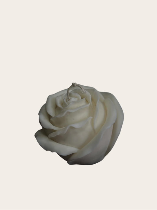 Rose Flower XL